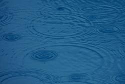 Depressione: il ruolo patogenetico della disbiosi intestinale